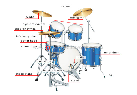 musical instruments drums