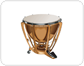 percussion instruments [3]