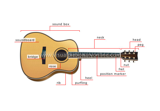 acoustic guitar - Visual Dictionary Online