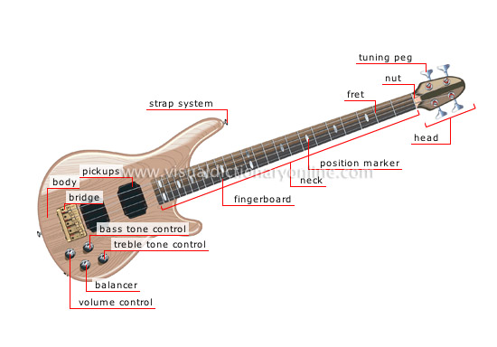 bass guitar - Visual Dictionary Online