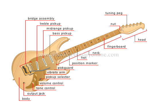 electric guitar - Visual Dictionary Online