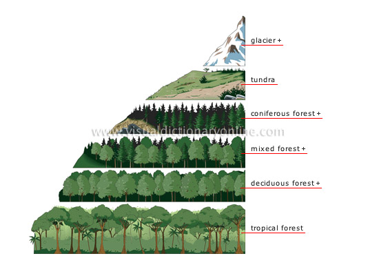 elevation zones and vegetation