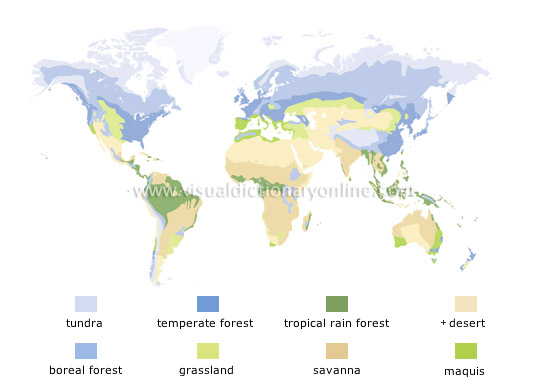 vegetation regions
