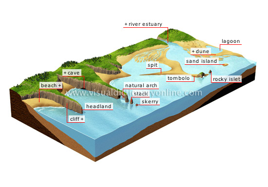 EARTH GEOLOGY COMMON COASTAL FEATURES COMMON COASTAL FEATURES 