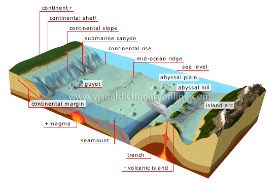 Earth Geology Ocean Floor Image Visual Dictionary Online
