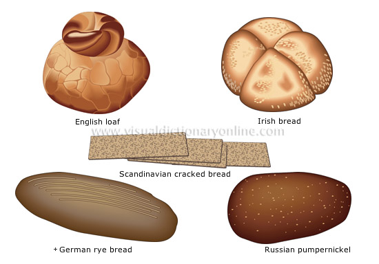 bread shapes and names