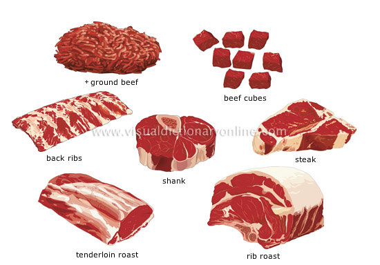 beef meat cuts