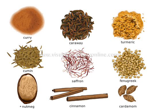 FOOD & KITCHEN :: FOOD :: SPICES [2] image - Visual Dictionary Online