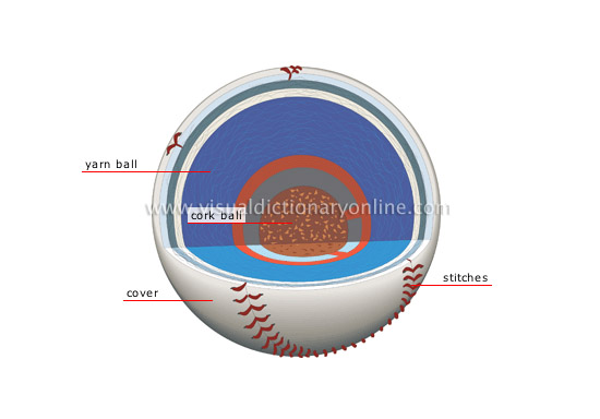 cross section of a baseball