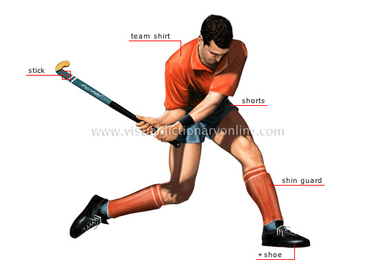 SPORTS & GAMES :: BALL SPORTS :: FIELD HOCKEY :: FIELD PLAYER image -  Visual Dictionary Online