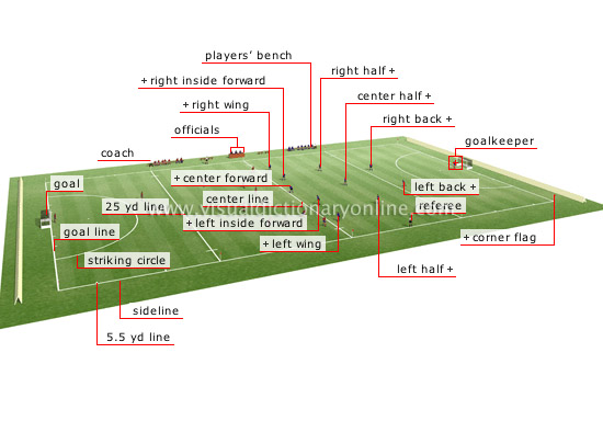 SPORTS & GAMES :: BALL SPORTS :: FIELD HOCKEY :: FIELD PLAYER image -  Visual Dictionary Online