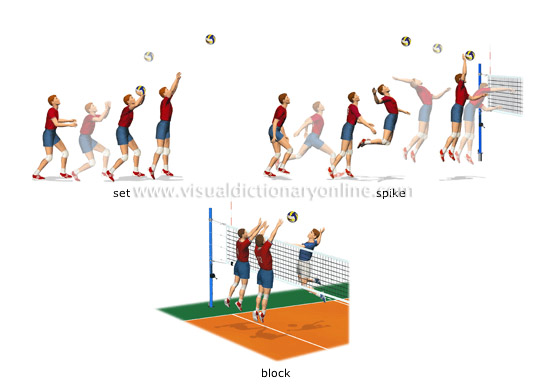 volleyball set technique