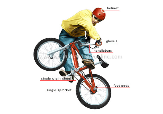 cycling equipment online