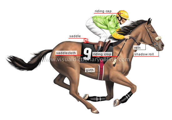 race horse jockey