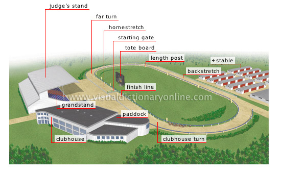 SPORTS GAMES EQUESTRIAN SPORTS HORSE RACING TURF RACETRACK 