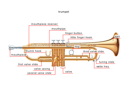 wind instruments [4]