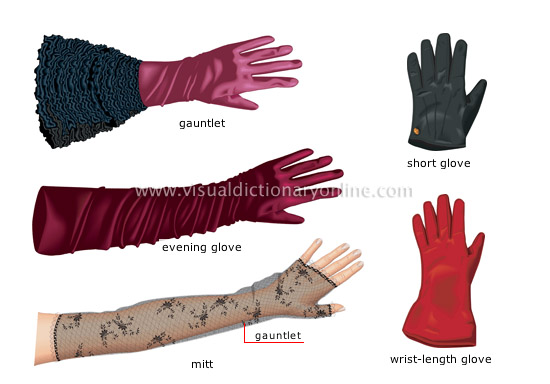 women’s gloves