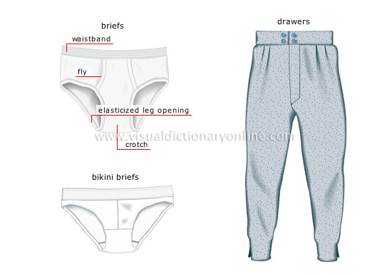 CLOTHING & ARTICLES :: CLOTHING :: MEN'S CLOTHING :: UNDERWEAR [1] image -  Visual Dictionary Online
