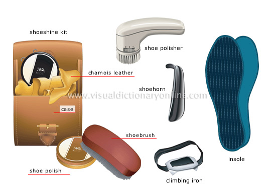 Parts of the hide -  - The Leather Dictionary