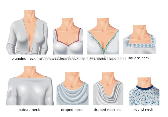 necklines and necks