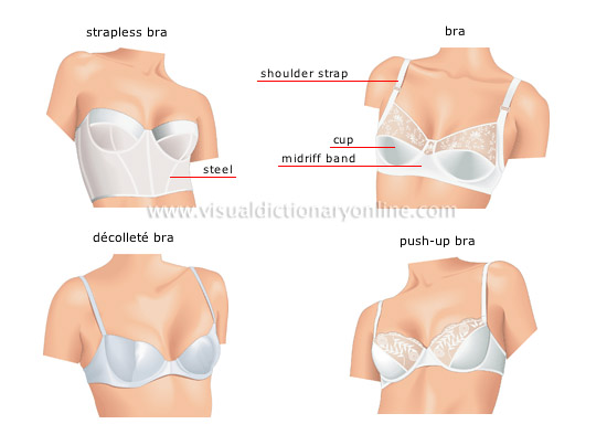 Brassiere Definition & Meaning - Merriam-Webster