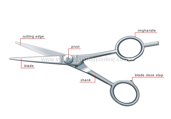 haircutting scissors [1]