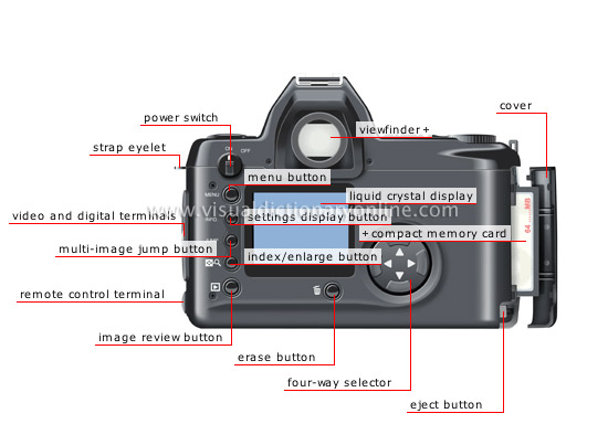 digital reflex camera: camera back