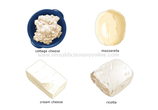 fresh cheeses