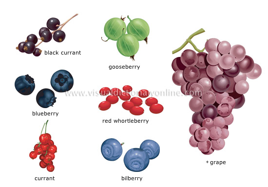 berries [1]