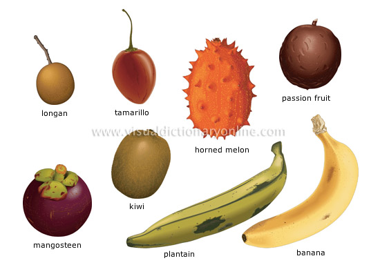 tropical fruits [1]