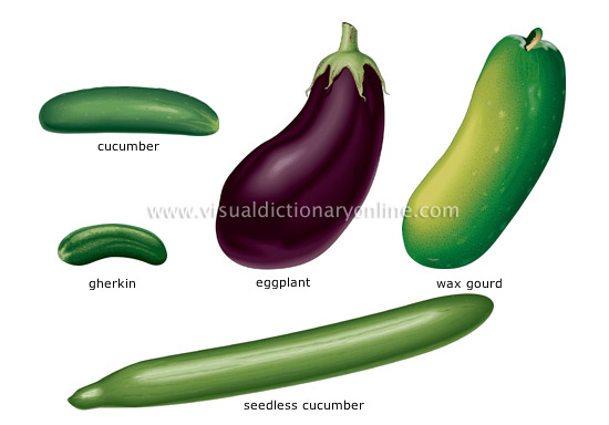 fruit vegetables [3]