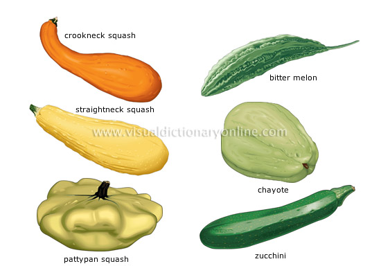 fruit vegetables [4]
