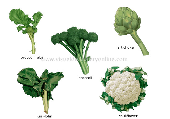 inflorescent vegetables
