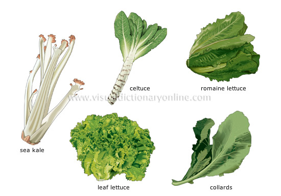 leaf vegetables [1]