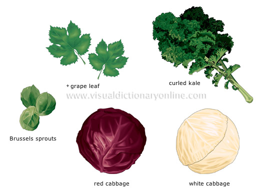 leaf vegetables [3]