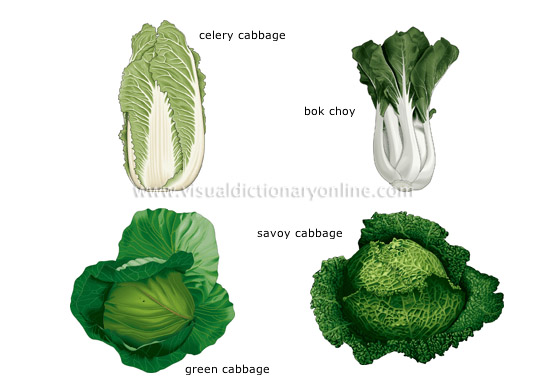 leaf vegetables [4]