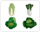 leaf vegetables [4]