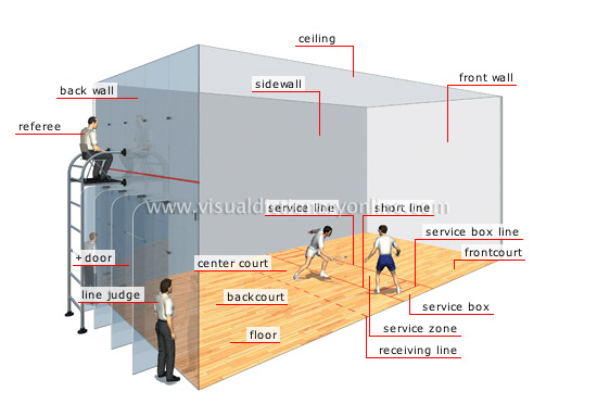 SPORTS GAMES :: RACKET SPORTS :: RACQUETBALL :: COURT image Visual
