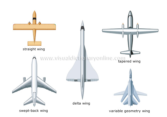 examples of wing shapes